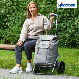Boodschappenwagen met grote 3-spaken wielen, Royal Shopper Basil City grijs