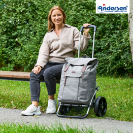 Boodschappenwagen met extra grote kogellager-wielen van 29 cm, Royal Shopper Basil City grijs