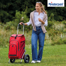 Boodschappenwagen met luchtbanden, Royal Shopper Hydro 3.0 rood