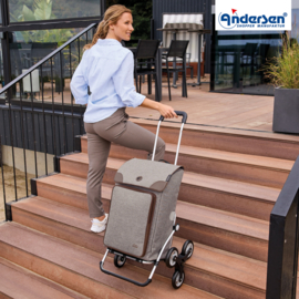Opvouwbare boodschappenwagen voor de trap, Royal Traploper Shopper Holk grijs