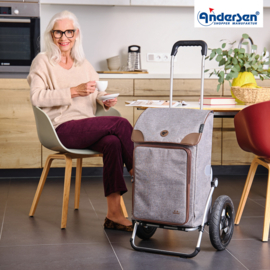 Boodschappenwagen met extra grote luchtbanden van 29 cm, Royal Shopper Holk grijs