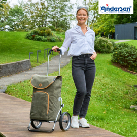 Boodschappenwagen met grote wielen met metalen spaken, Royal Shopper Marta olijf