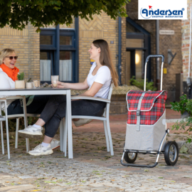 Boodschappenwagen met grote wielen met metalen spaken, Royal Shopper Gese rood