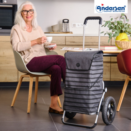 Boodschappenwagen met extra grote luchtbanden van 29 cm, Royal Shopper Jelke antraciet