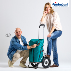 Boodschappenwagen met extra grote luchtbanden van 29 cm, Royal Shopper Oli.P 3.0 petrol