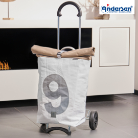 Lichte boodschappenwagen voor achter de fiets, Scala Shopper 360° Steg 9