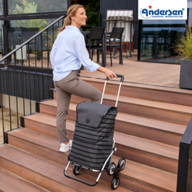Opvouwbare boodschappenwagen voor de trap, Royal Traploper Shopper Jelke antraciet