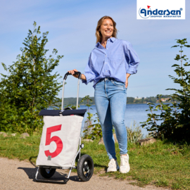 Boodschappenwagen met luchtbanden, Royal Shopper 360° Steg 5