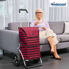Boodschappenwagen met luchtbanden, Royal Shopper Jelke bordeaux