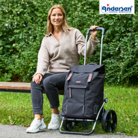 Boodschappenwagen met grote 3-spaken wielen, Royal Shopper Basil City zwart