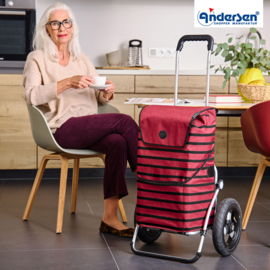 Boodschappenwagen met extra grote luchtbanden van 29 cm, Royal Shopper Jelke bordeaux