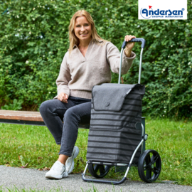 Boodschappenwagen met grote 3-spaken wielen, Royal Shopper Jelke antraciet