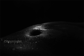 Bodyscape serie : Wet Belly (natte buik van een vrouw).