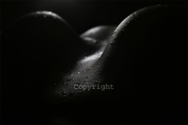 Bodyscapes serie : Wonderful Landscapes of Body