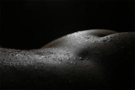 Bodyscape serie : Wet Woman Body