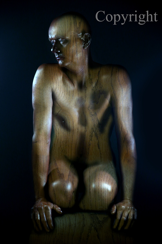 Wooden Statue (work 1)