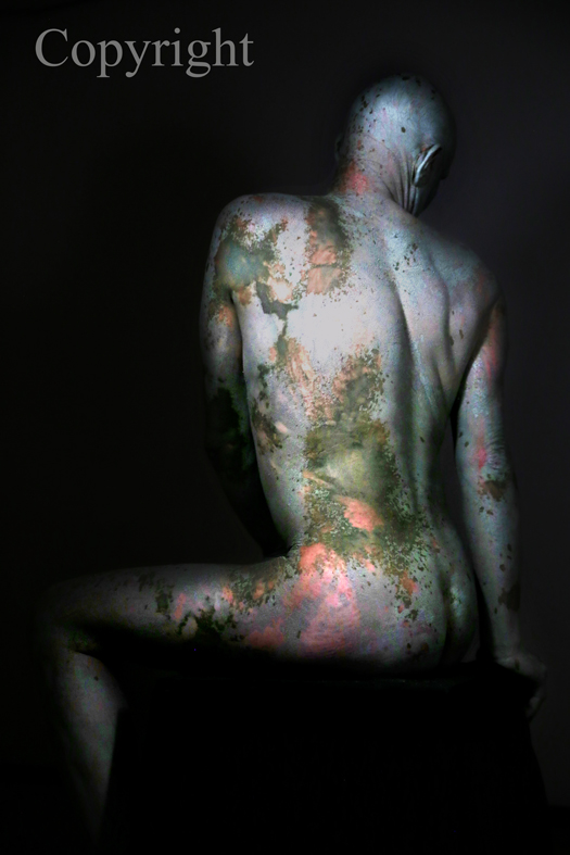 Petrified (work 15)