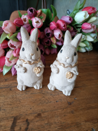 Wj27 (55.)Haasje bloem beige