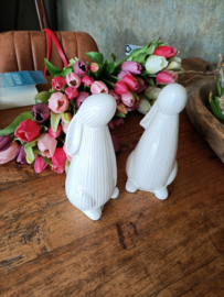 Wj32  (55.)Opzittende haas