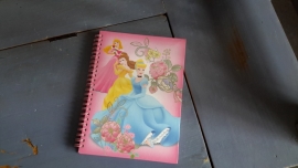 S198 Schrijfboekje Prinsessen