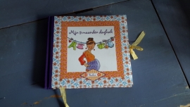 B22 (74.)  Mijn 9 maanden dagboek