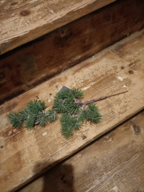 Vin252 Kerstgroen (09.)