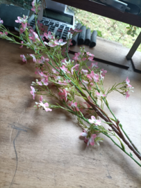 Wildflower soft pink (v)