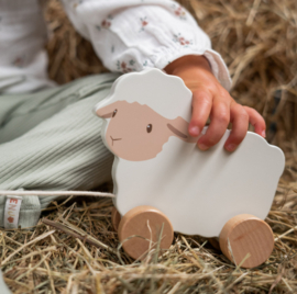 Tw80 (70.) Trekdier schaap