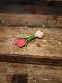 Vin01 (61.) Tulp met bol roze (real tuch)