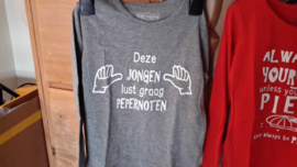 Tekst voor shirt 'deze jongen lust graag'