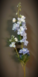 Vin209 Delphinium licht blauw