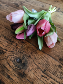 Wj39 Real touch tulp divers 7 takken (61.)