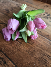 Wj46 Real touch tulp , mauve 7 takken (61.)