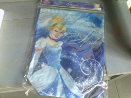 S86 zwem/gym tas Cinderella