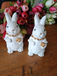 Wj21 (55.) Haasje bloem wit