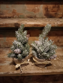 Wj11 kerstboompje (08.)