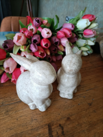 Wj30 (55.)Konijntje beige