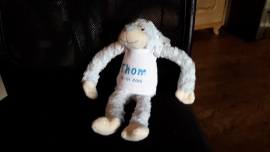Fun05 (77.) Aap met naam blauw