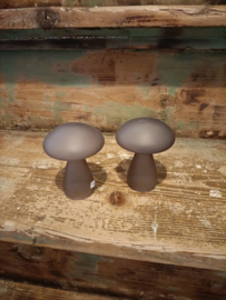 M19 Paddestoel glas grijs/bruin (13.)