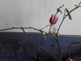 Home93 (57.) Vaasje op knijper
