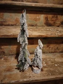 Wj31 Kerstboompje met sneeuw klein (08.)
