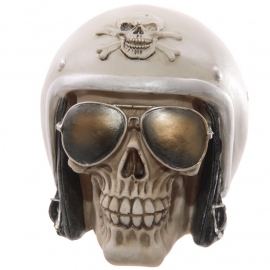 Schedel met helm en zonnebril