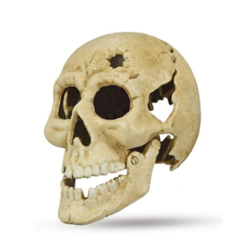 Gietijzeren Skull