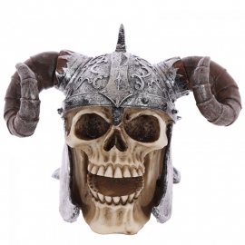 Viking schedel met gedraaide hoorn