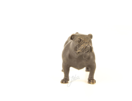 Bronzen Beeld Bulldog