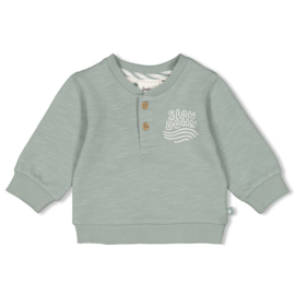 Sweather Turtelly Cool sea green 51602484