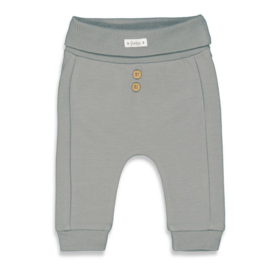 Feetje Elephant broek grijs 52201953