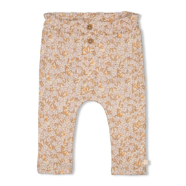 Broek Flower Field 52202309