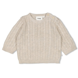 Sweather gebreid The Knits taupe 51602679