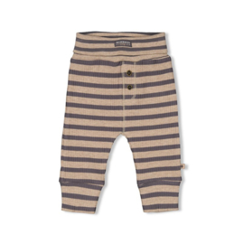 Broek Camp Wilderness antraciet 52202222